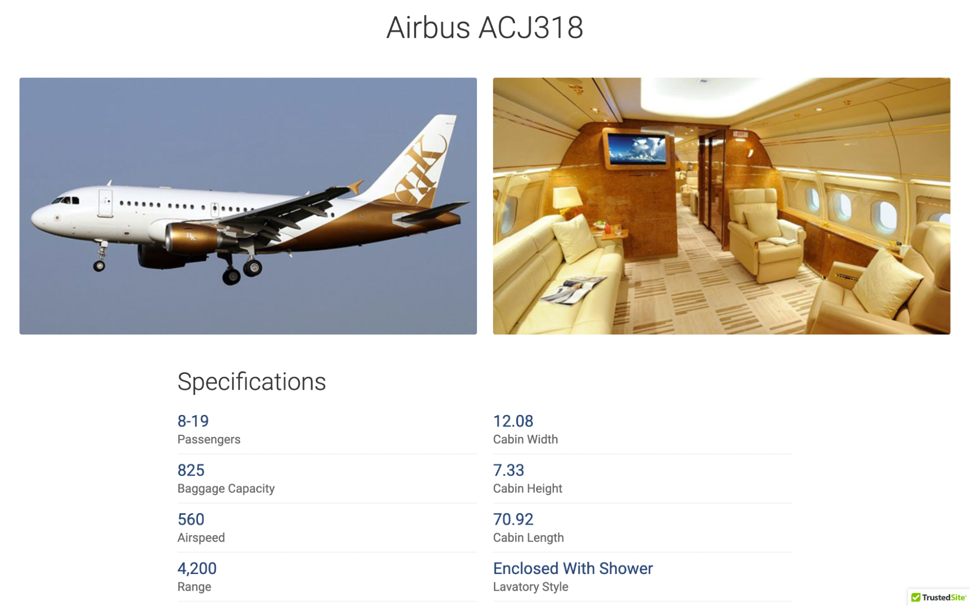 Airbus aircrafts offered by JetOptions for rental.