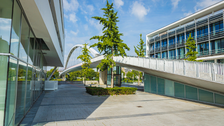 TEFAF Maastricht JetOptions