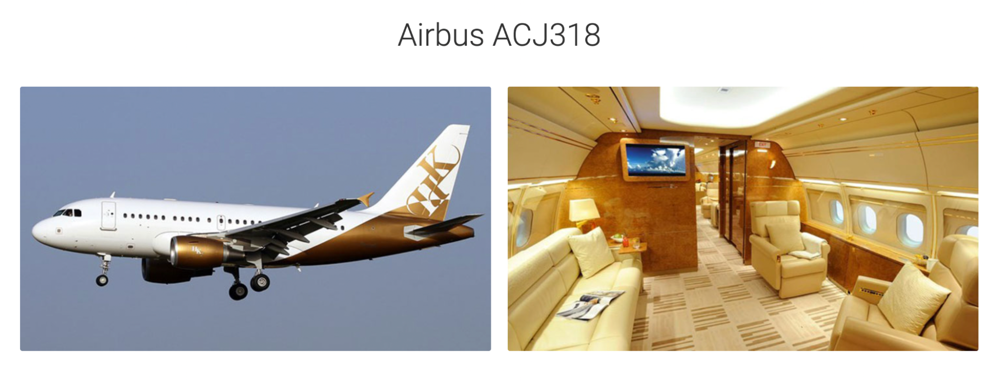An image showing the exterior and interior of the VIP airliner Airbus ACJ318.
