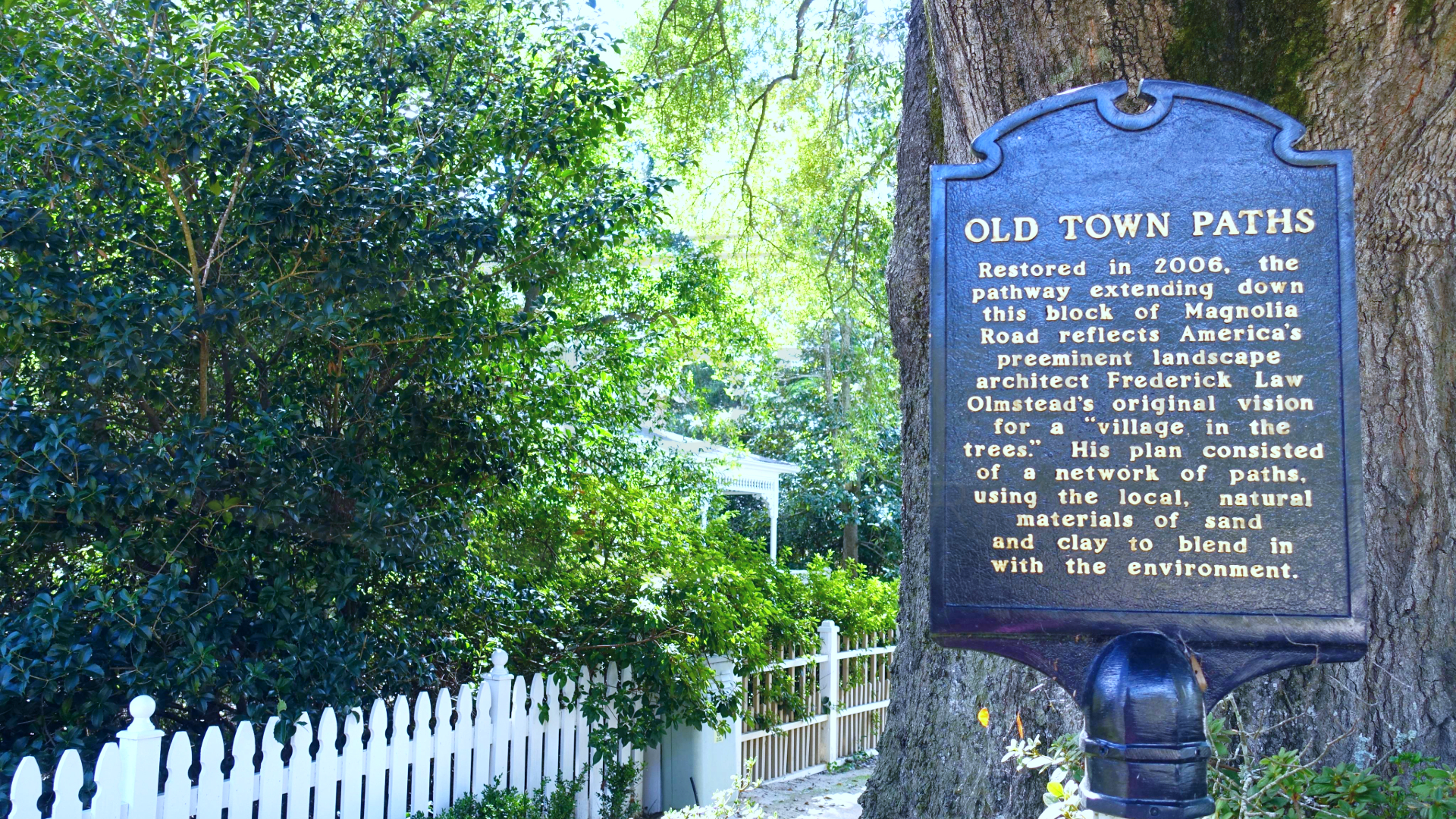 private jet charter Pinehurst JetOptions Private Jets