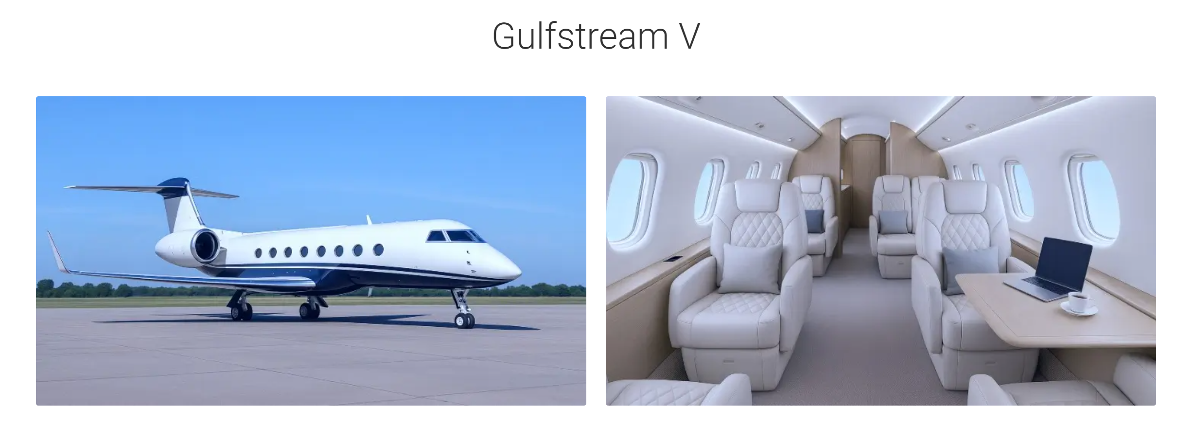 Gulfstream V Long Range Heavy Jet Charter