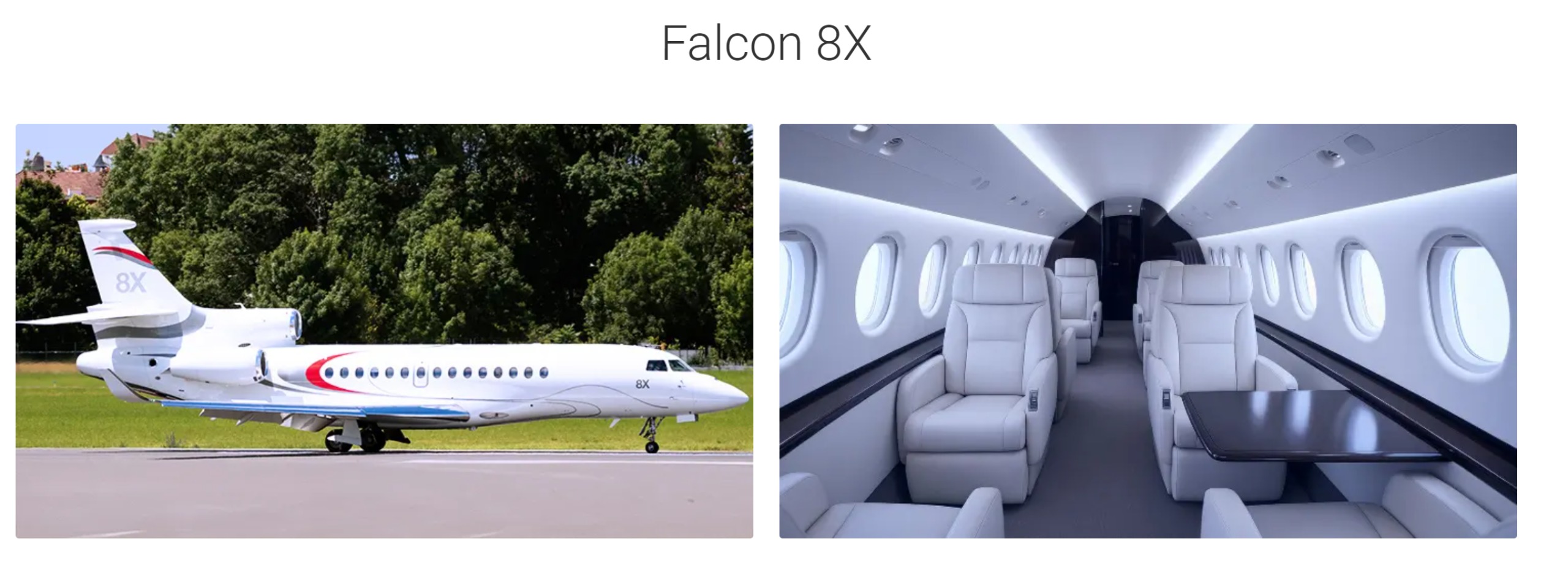 Dassault Falcon 8X Heavy Jet Private Jet Charter Interior and Exterior views